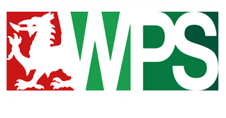 Welsh Property Services